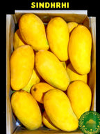 MANGO (آم)